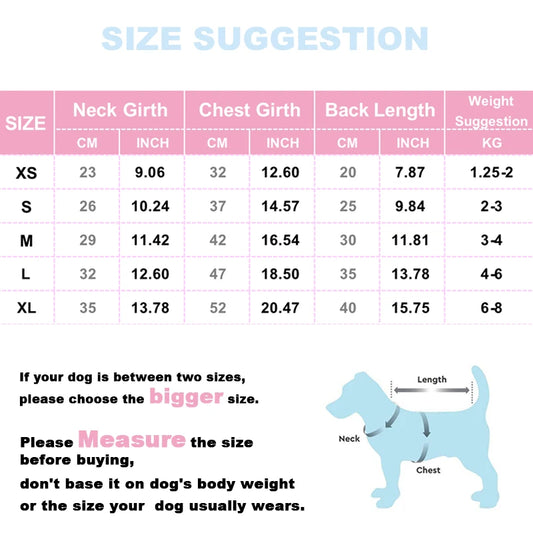 Winter Puppy Clothes