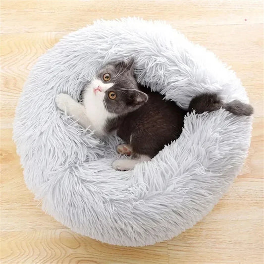 cat soft bed