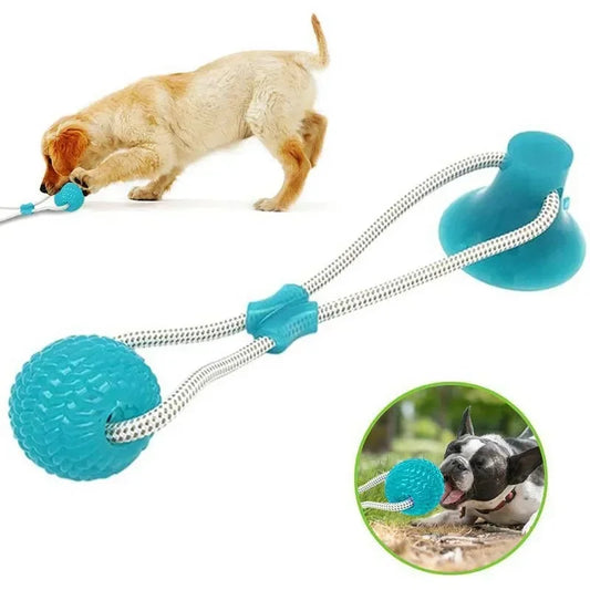 Dog Rubber Push Toy.