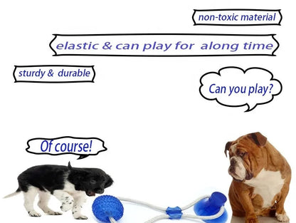 Dog Rubber Push Toy.