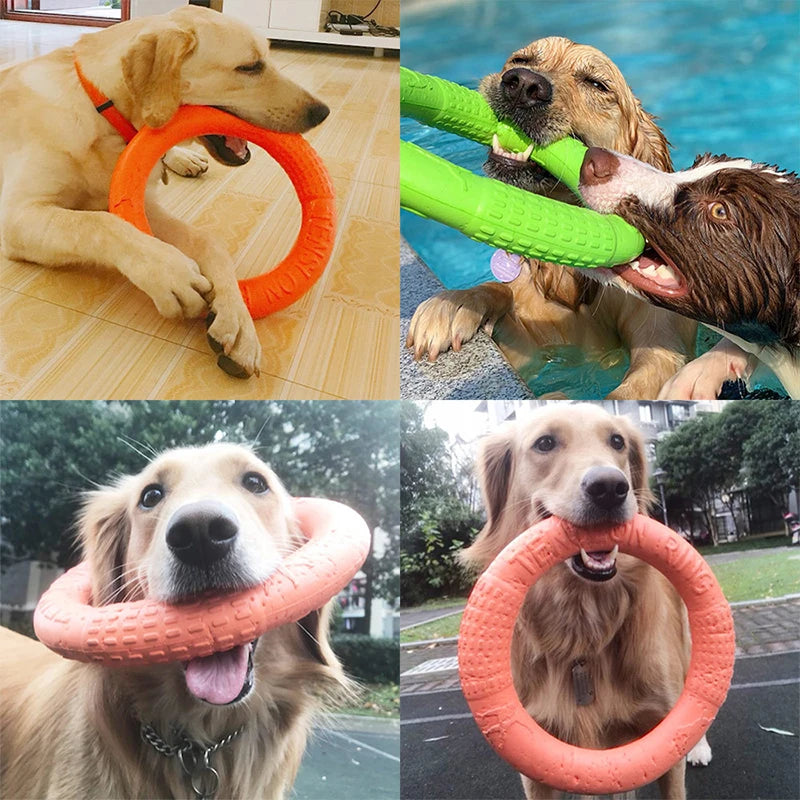 Dogs Pet Flying Discs Bite Ring toy