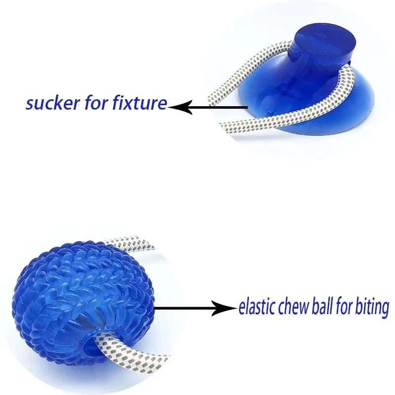 Dog Rubber Push Toy.