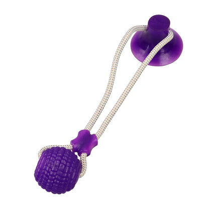 Dog Rubber Push Toy.