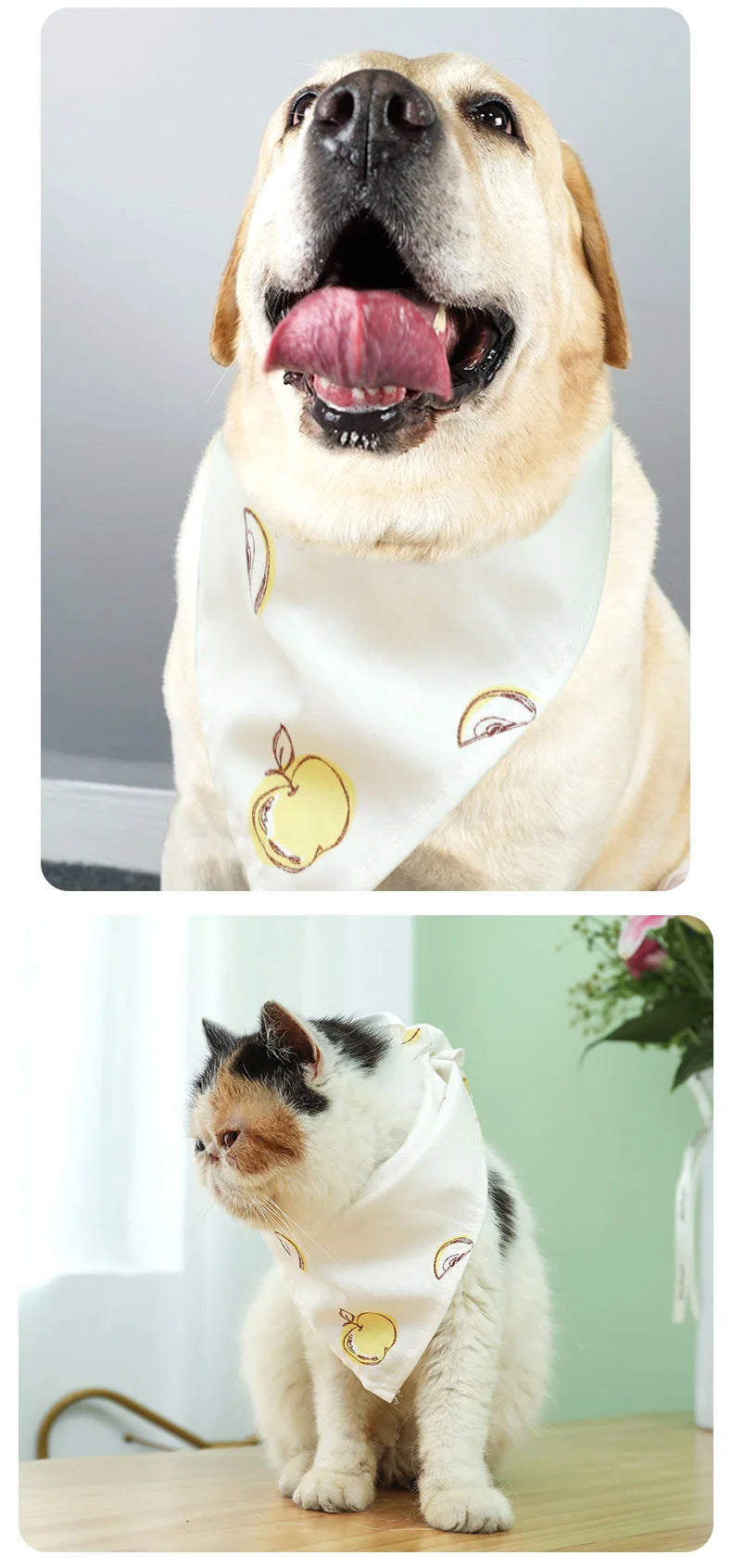 Dog and cat cute bandana