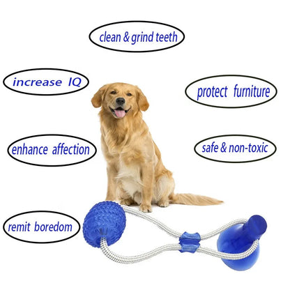 Dog Rubber Push Toy.
