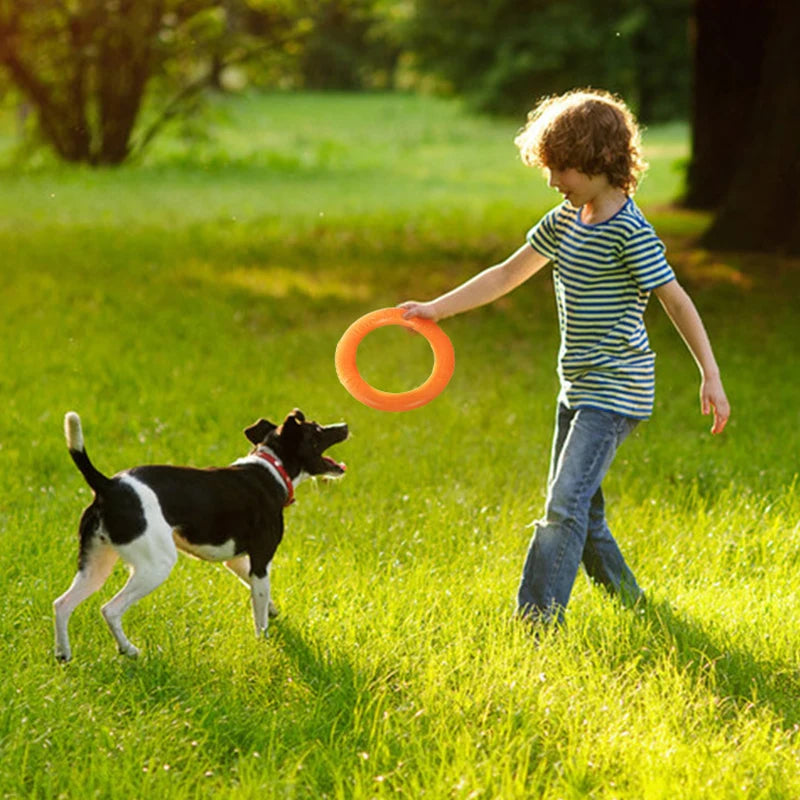 Dogs Pet Flying Discs Bite Ring toy