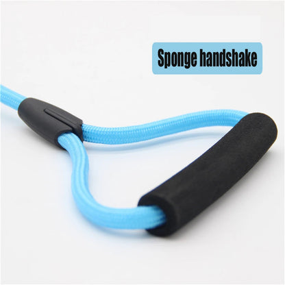 Dog Leash Running And Walking