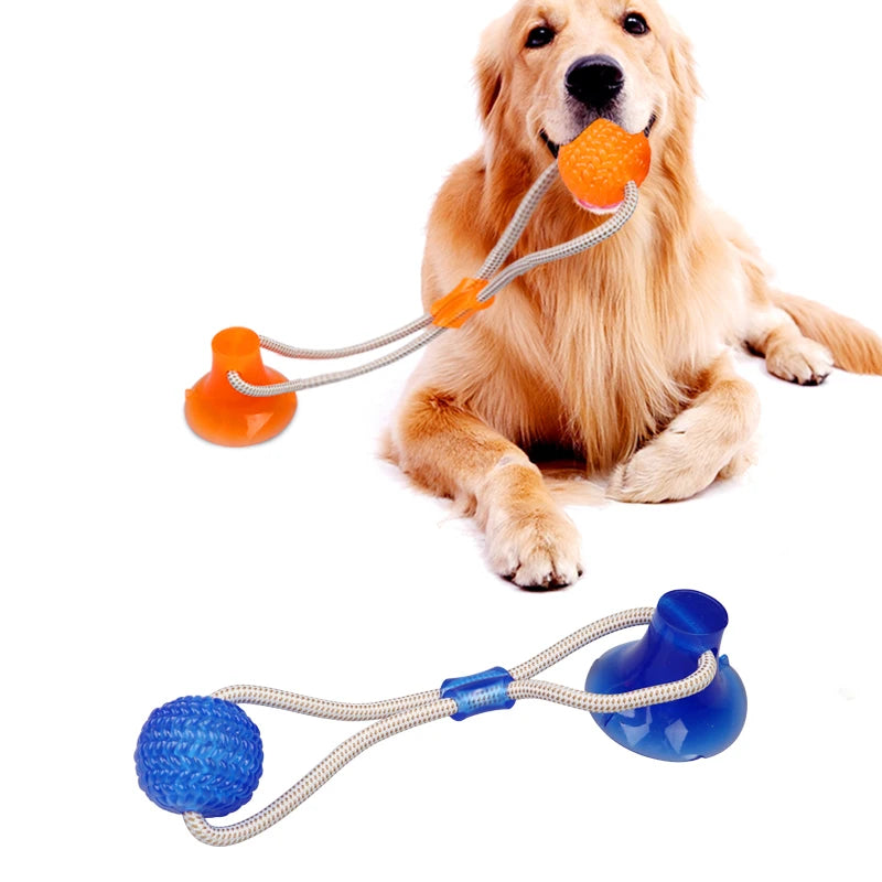 Dog Rubber Push Toy.