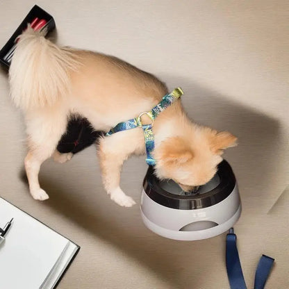 No Spill Drinking Water Feeder