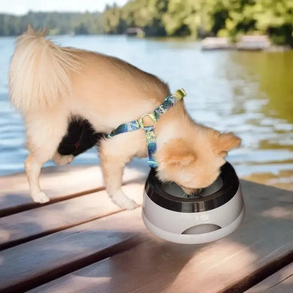 No Spill Drinking Water Feeder