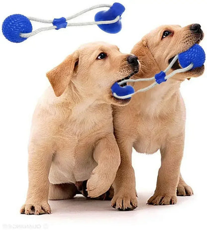 Dog Rubber Push Toy.