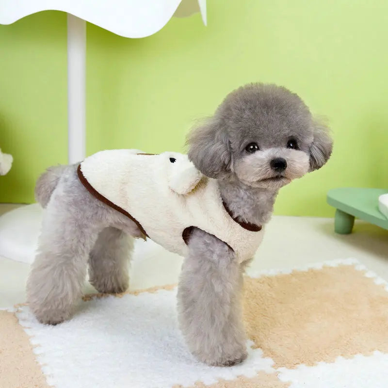 Winter Puppy Clothes