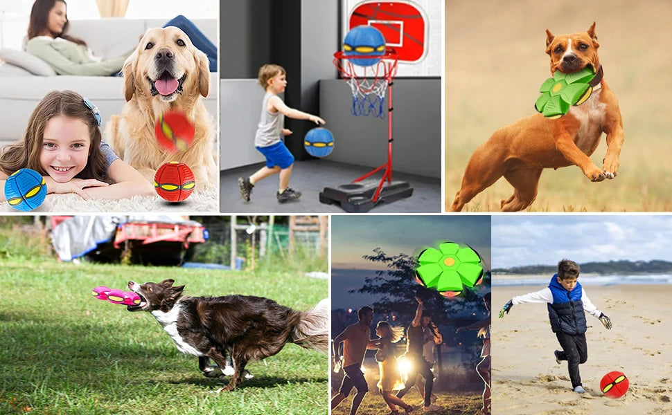 Flying Saucer Bouncing Ball For Dogs