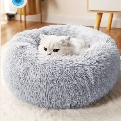 cat soft bed