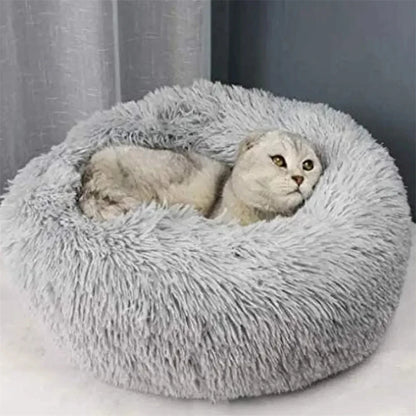cat soft bed