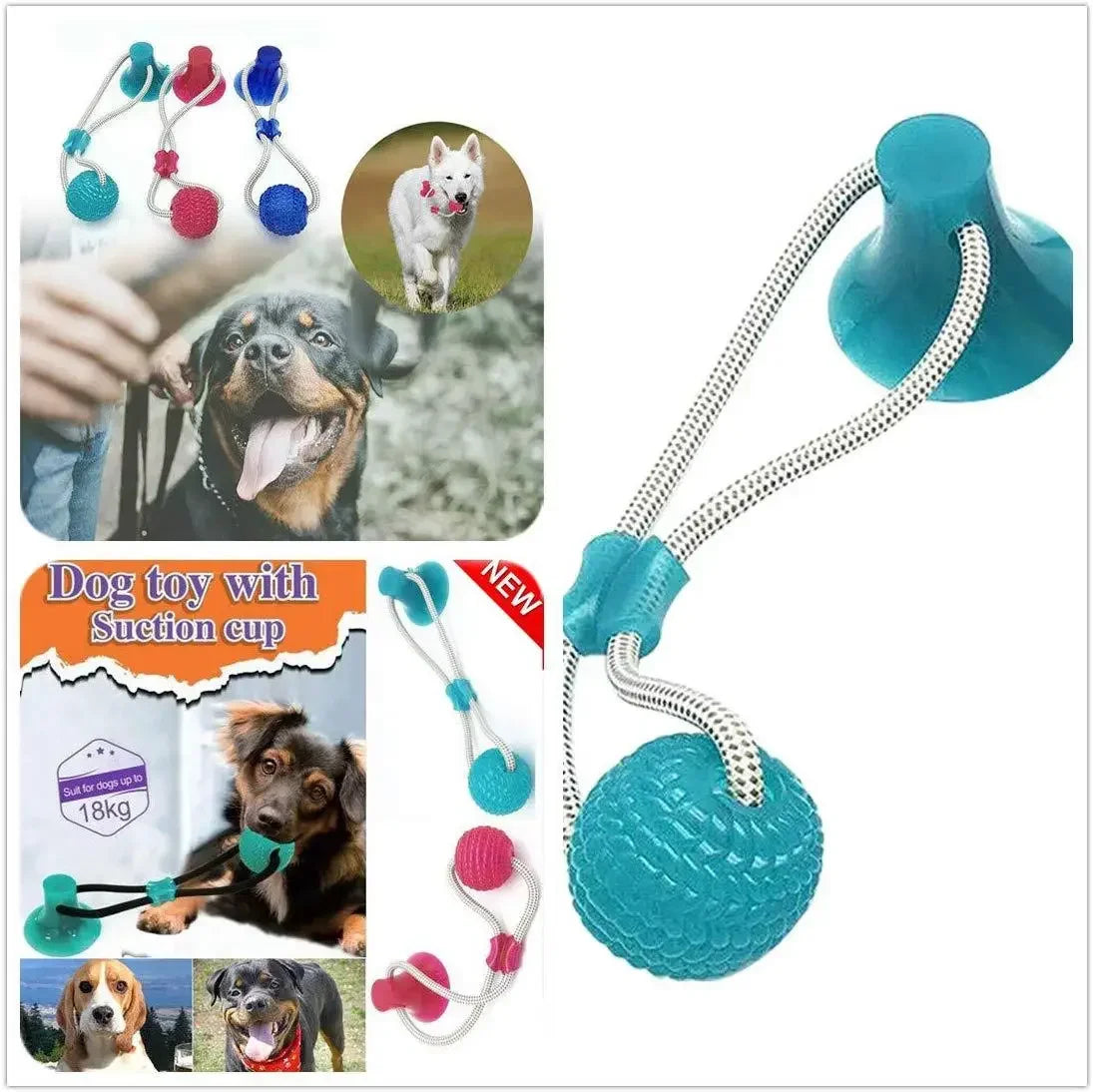Dog Rubber Push Toy.