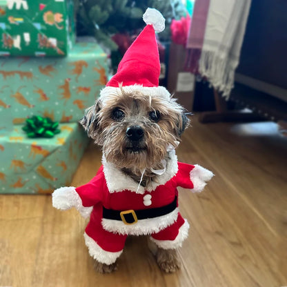 Funny Santa Claus Christmas Dog Costume