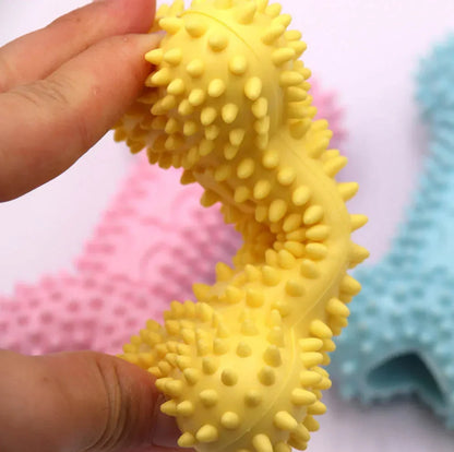 Chew Training Toys