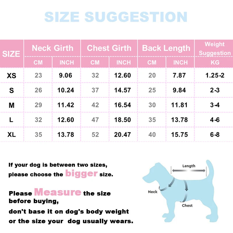 Winter Puppy Clothes