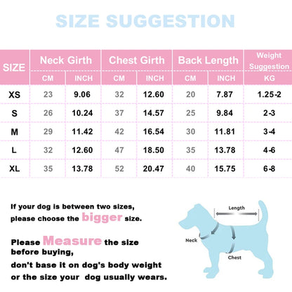 Winter Puppy Clothes