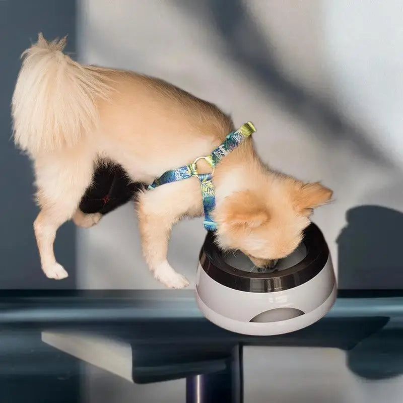 No Spill Drinking Water Feeder