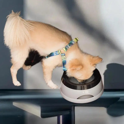 No Spill Drinking Water Feeder