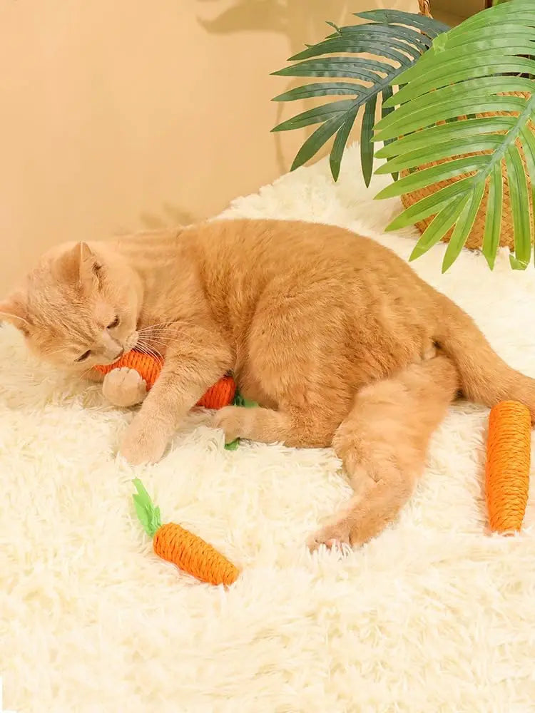 Cat toys self-entertainment carrot