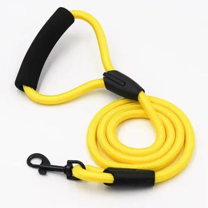 Dog Leash Running And Walking