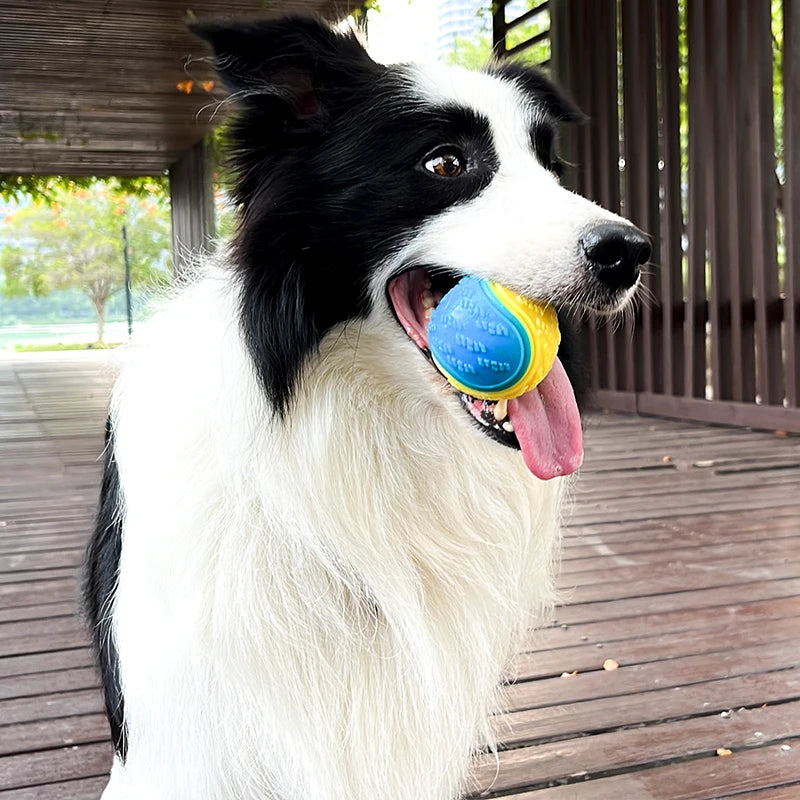 Dogs  Interactive Toys Ball