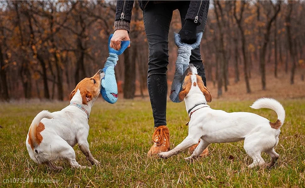Squeaky Dog Toys for Aggressive Chewers