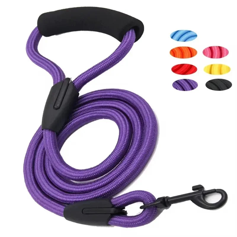 Dog Leash Running And Walking