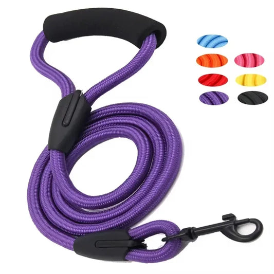Dog Leash Running And Walking