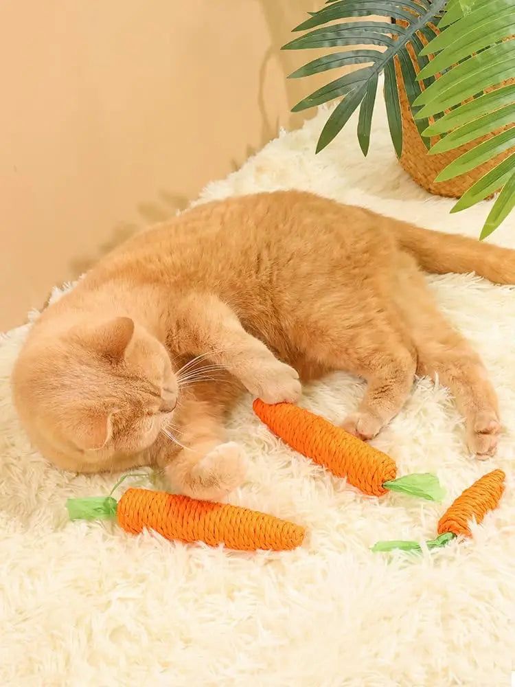 Cat toys self-entertainment carrot