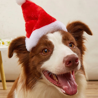 Christmas Dog Cap