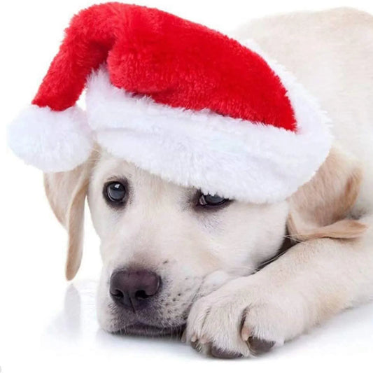 Christmas Dog Cap
