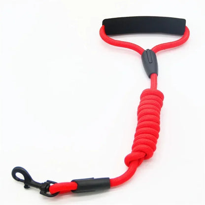 Dog Leash Running And Walking
