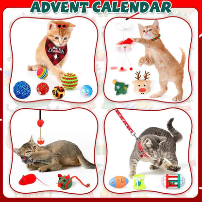 Cat Advent Calendar 2025