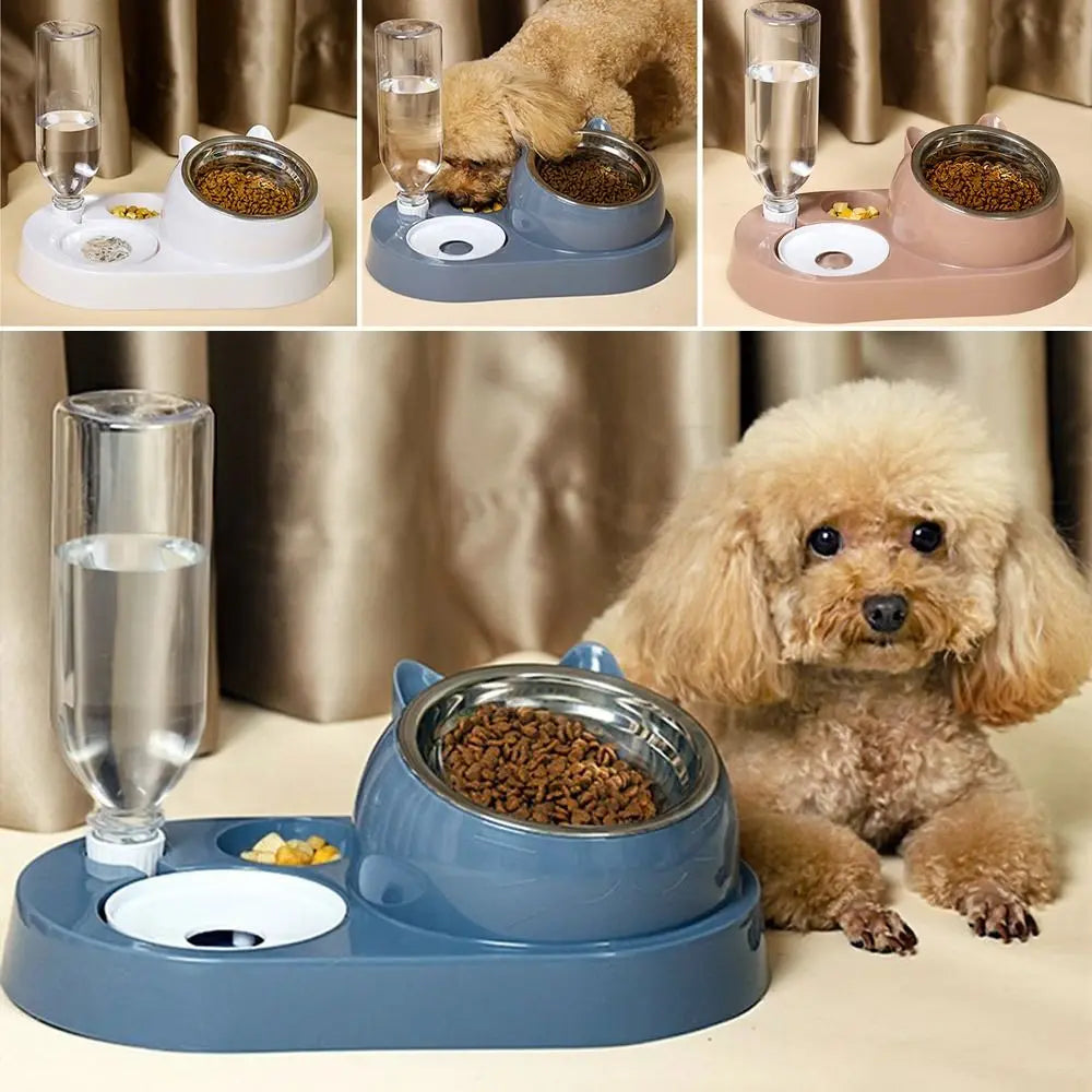 Cat and dog bowl with waterer
