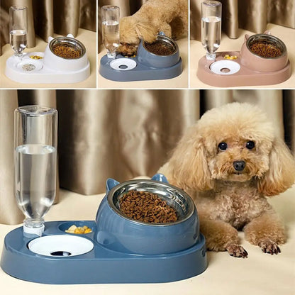 Cat and dog bowl with waterer
