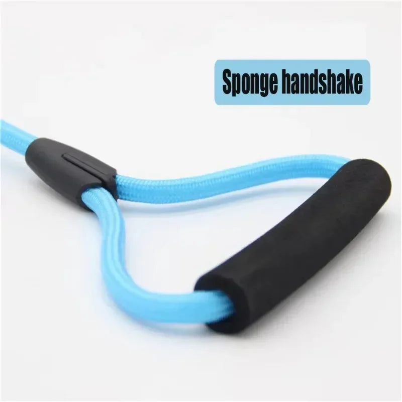 Dog Leash Running And Walking