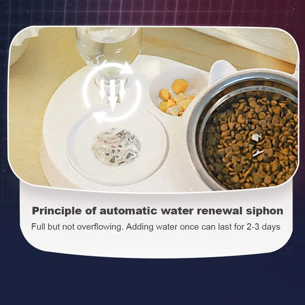 Cat and dog bowl with waterer