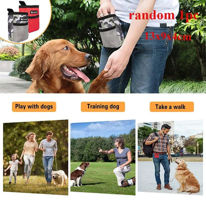 Dog Leash Running And Walking