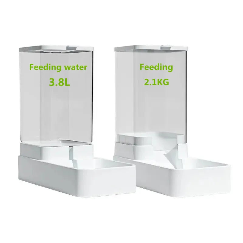 Dog Automatic Feeder