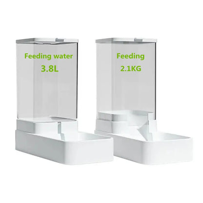 Dog Automatic Feeder