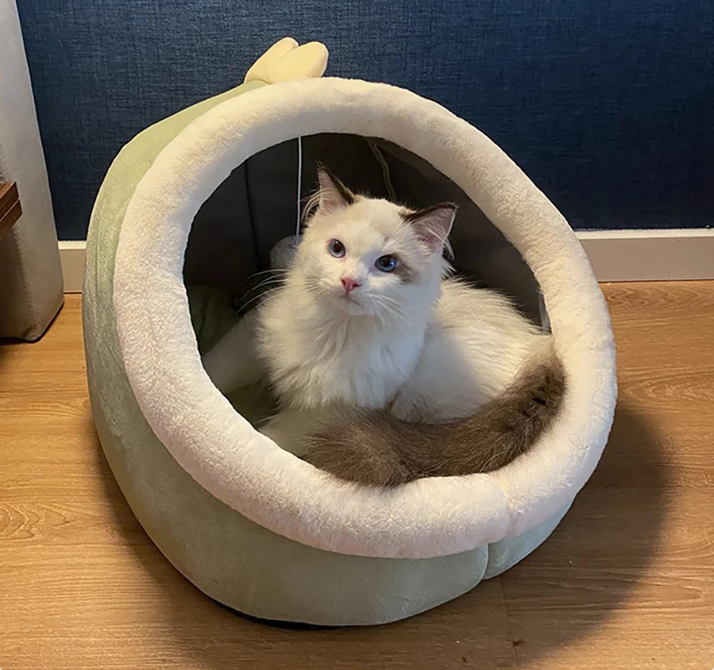 kitty shape bed for cat