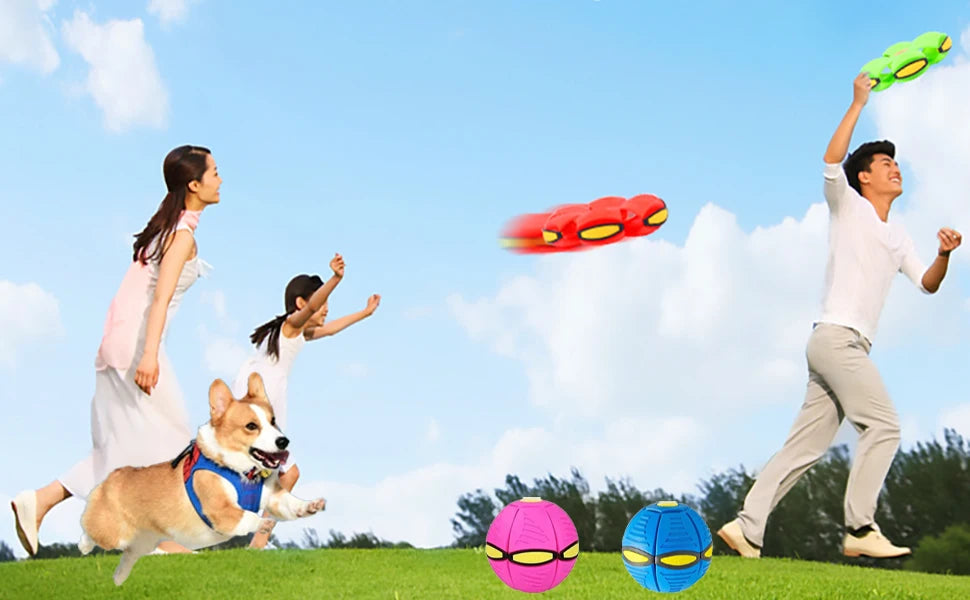 Flying Saucer Bouncing Ball For Dogs