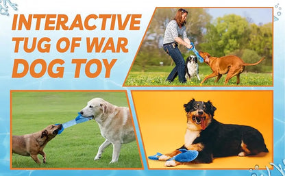 Squeaky Dog Toys for Aggressive Chewers