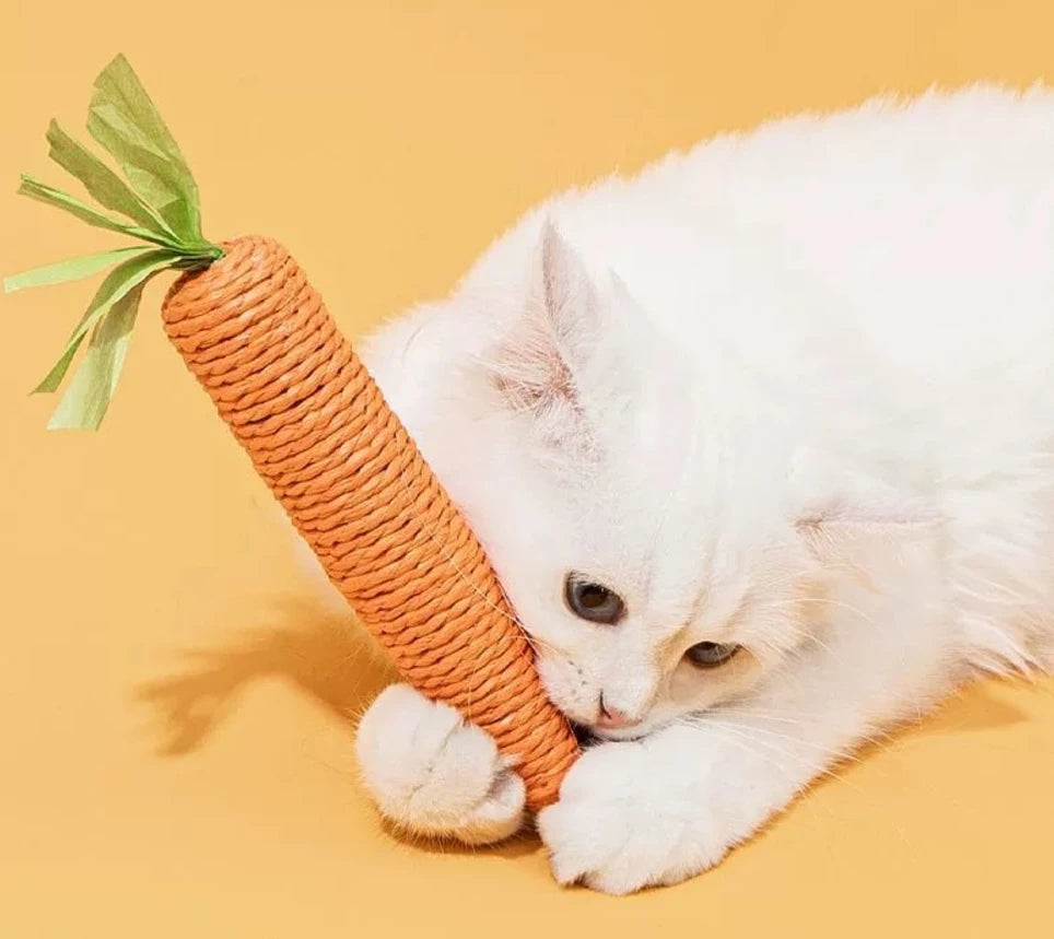 Cat toys self-entertainment carrot