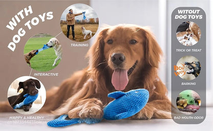 Squeaky Dog Toys for Aggressive Chewers